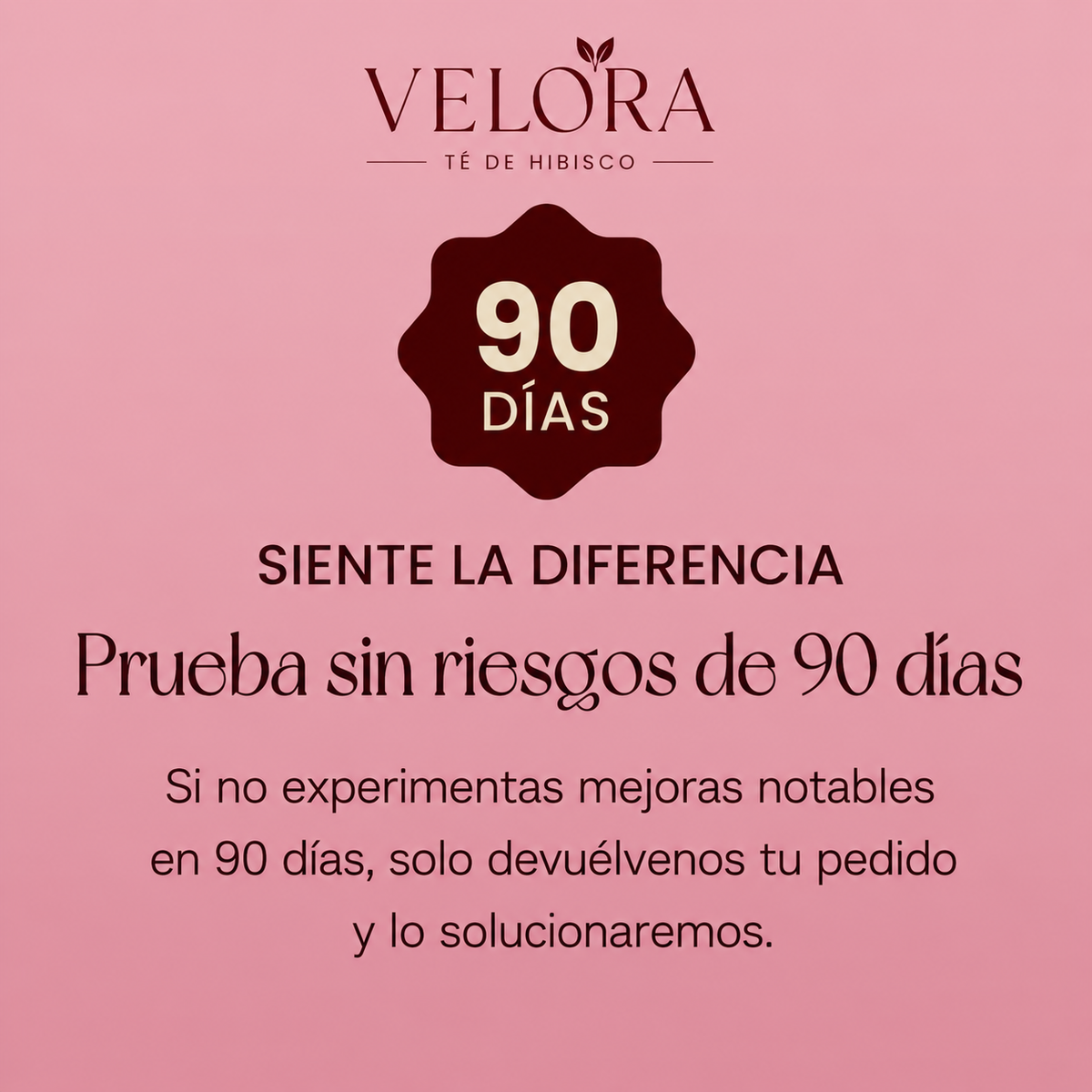 Velora® Té de Hibisco — Apoyo para la Presión Arterial