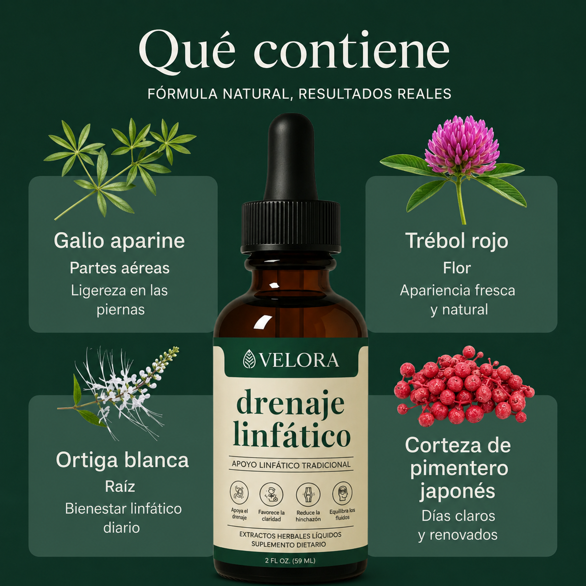 Velora® | Gotas Naturales para el Drenaje Linfático